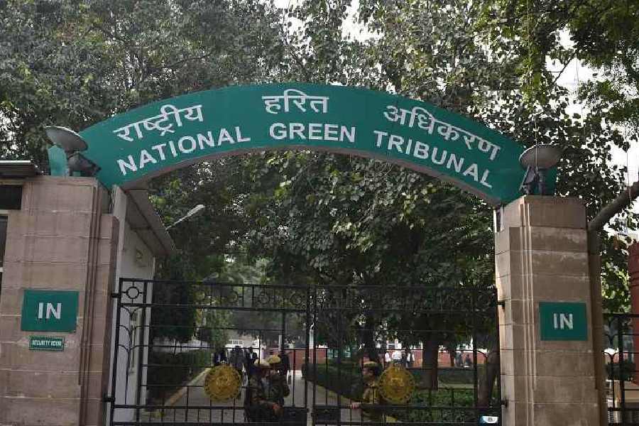 National Green Tribunal on cricket stadiums groundwater use
