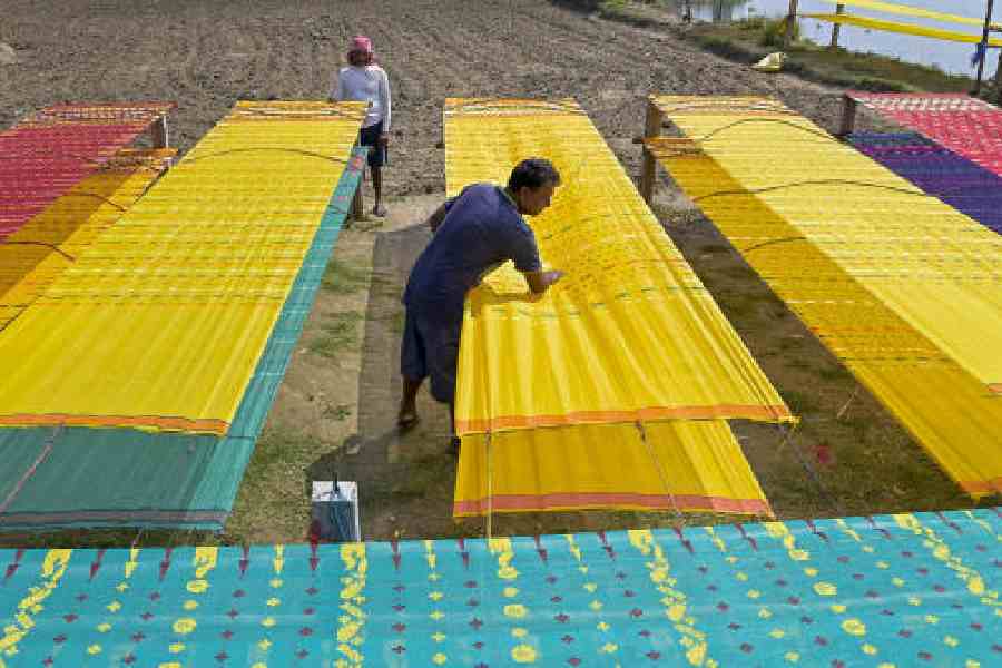 Workers lay handloom saris for drying in Nadia on Sunday, the day the Union budget 2026-27 was presented by finance minister Nirmala Sitharaman in Parliament. (PTI picture)