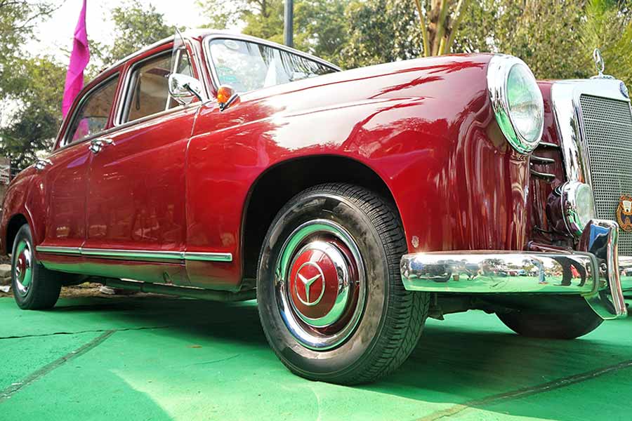 Panzer's life is one filled with ups and downs