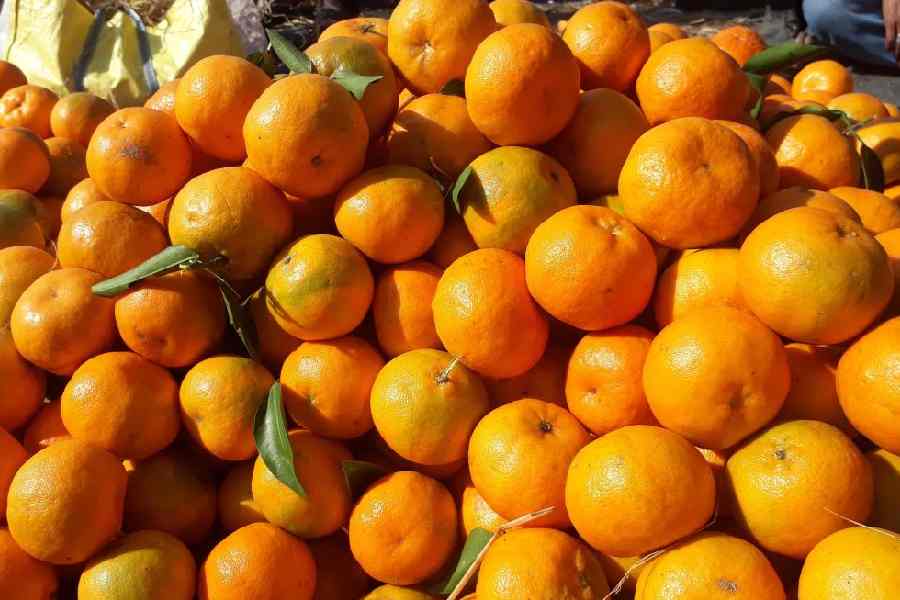 Darjeeling Mandarin Oranges at a market in Siliguri.