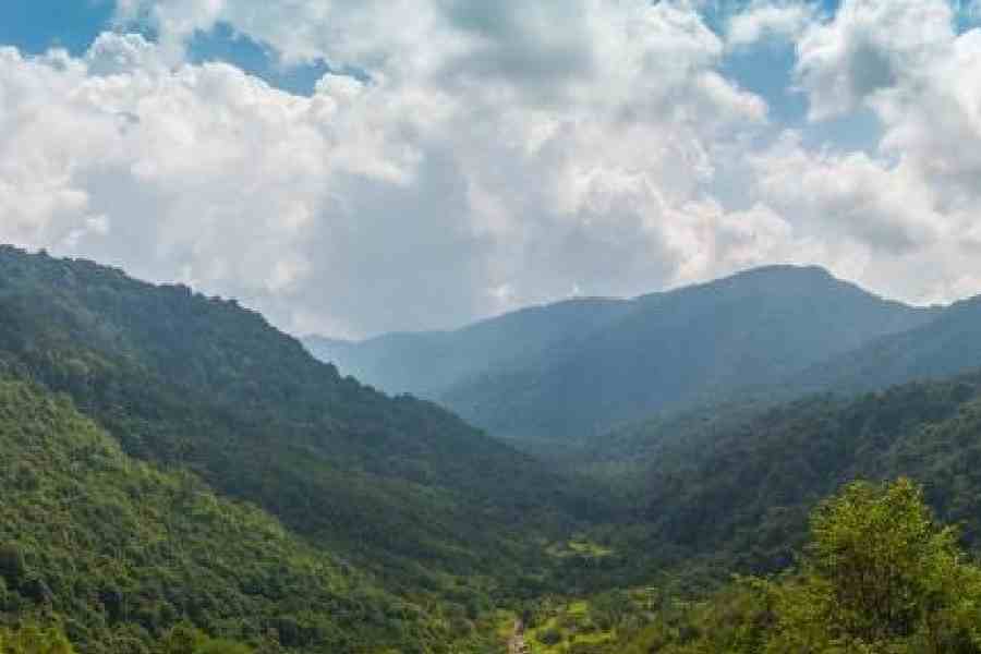 The Neora Valley National Park. File picture