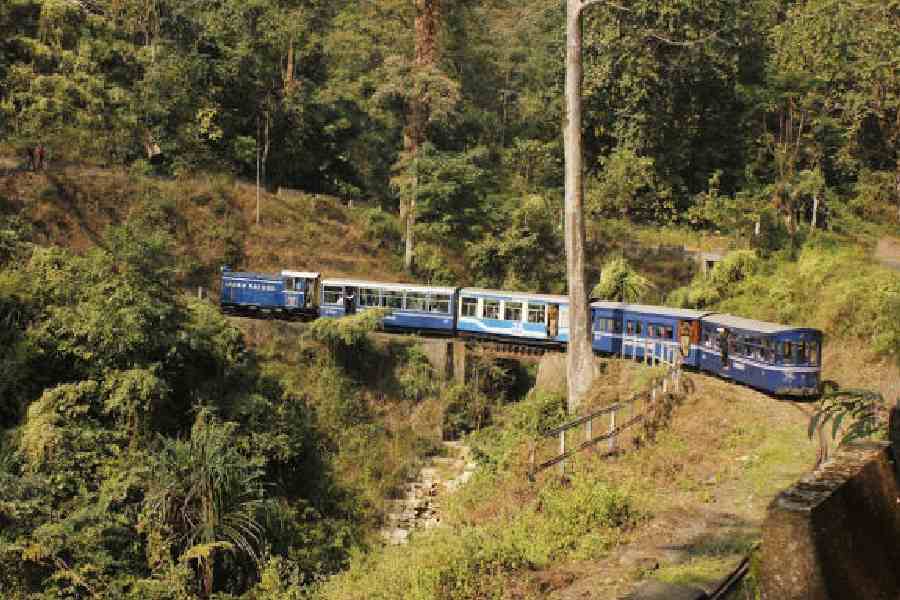 A DHR toy train. File picture
