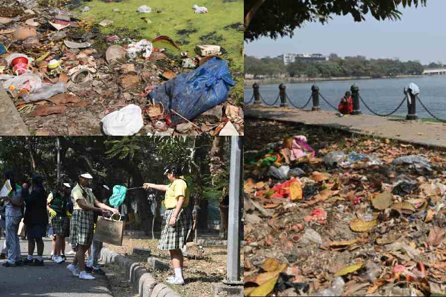 Plastic and other waste at Subhas Sarobar on Friday. Students clean up the mess