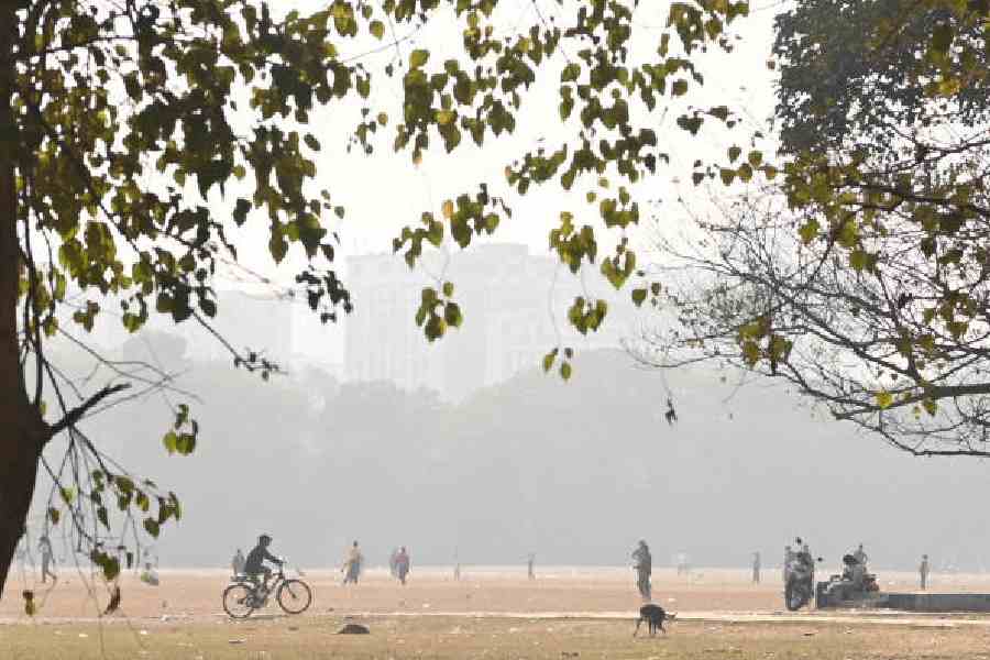 Visitors on a foggy Maidan on Saturday morning.            Pictures by Bishwarup Dutta