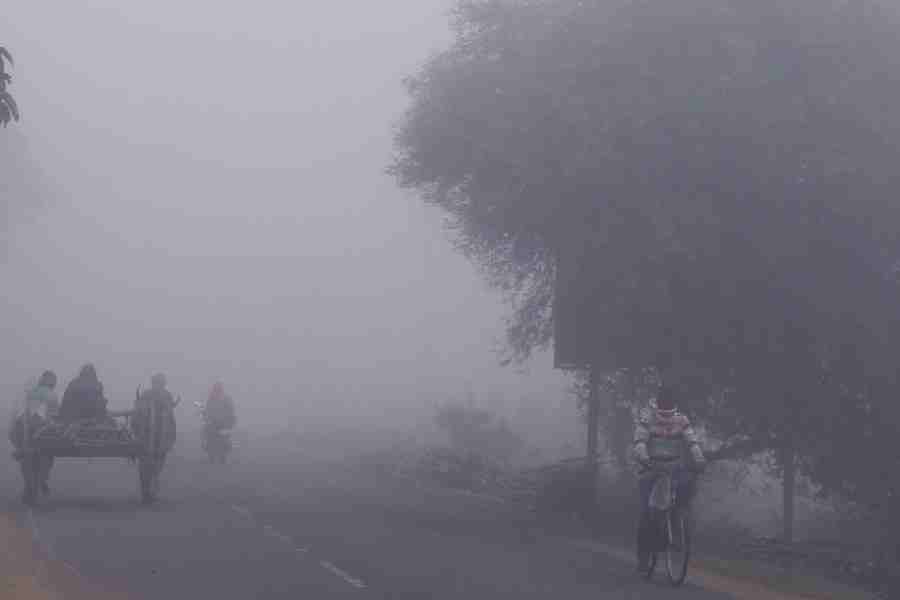 A bullock cart and commuters make their way through thick fog on a cold winter morning, in Birbhum district of West Bengal, Saturday, Feb. 7, 2026.