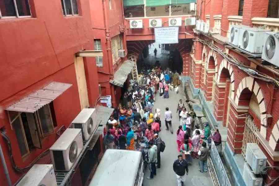 A queue of certificate applicants at the KMC headquarters last month