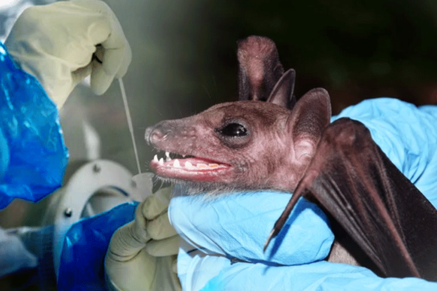 Representational image