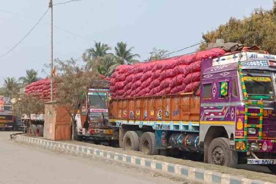 Cargo trucks stranded outside the Ghojadanga port on Thursday. Picture by Pashupati Das