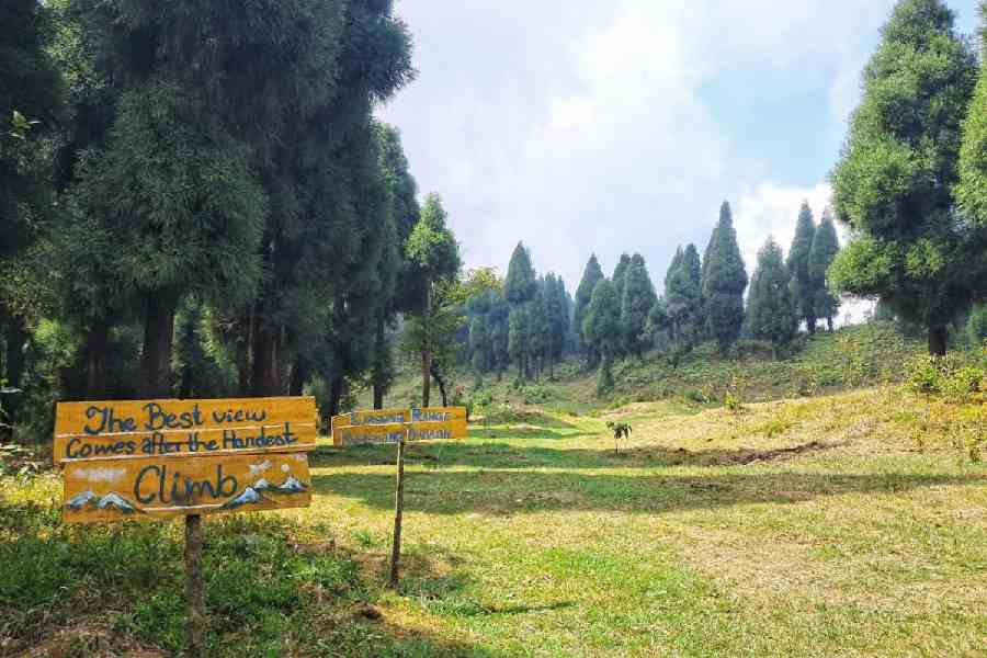 The valley where the trekking will be conducted in Kurseong