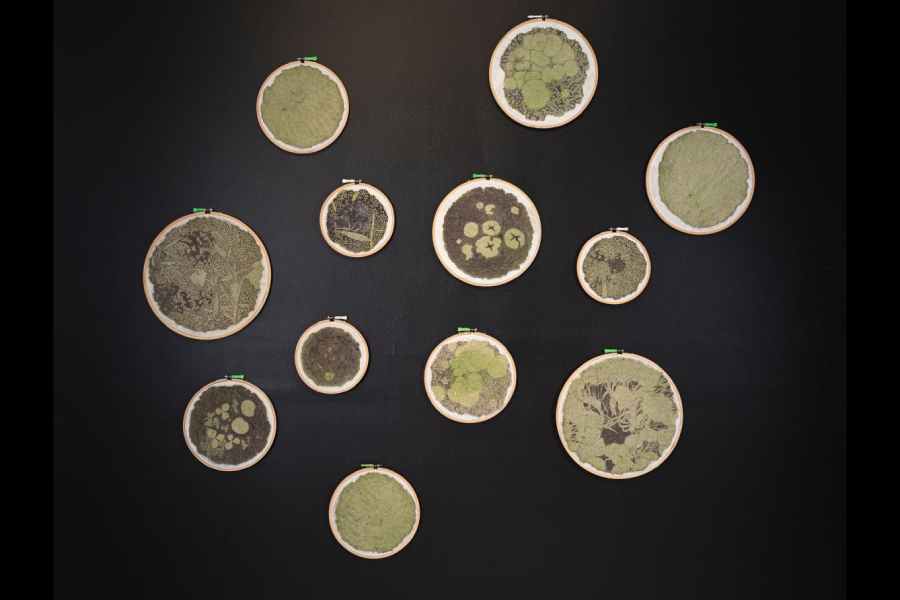 Convergences Emami Art exhibition