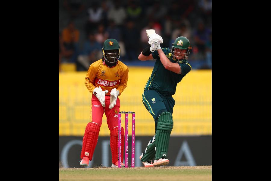 Matt Renshaw on Friday. 