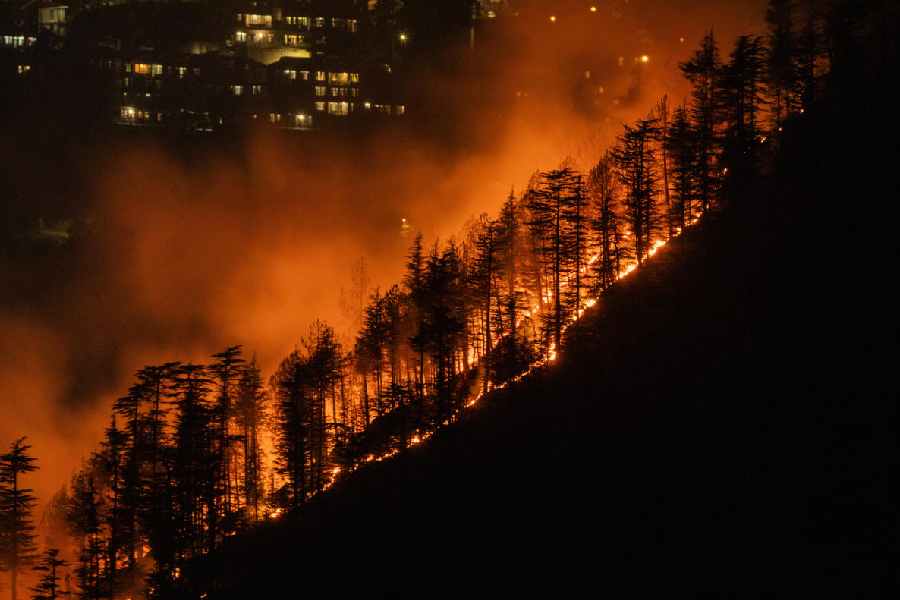 Economic Survey climate change mitigation debate