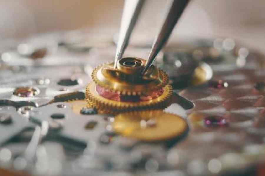 specialised investment funds India