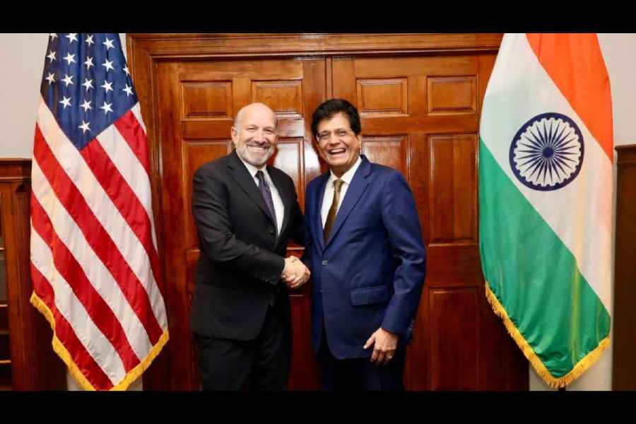 India US trade deal regulatory risks