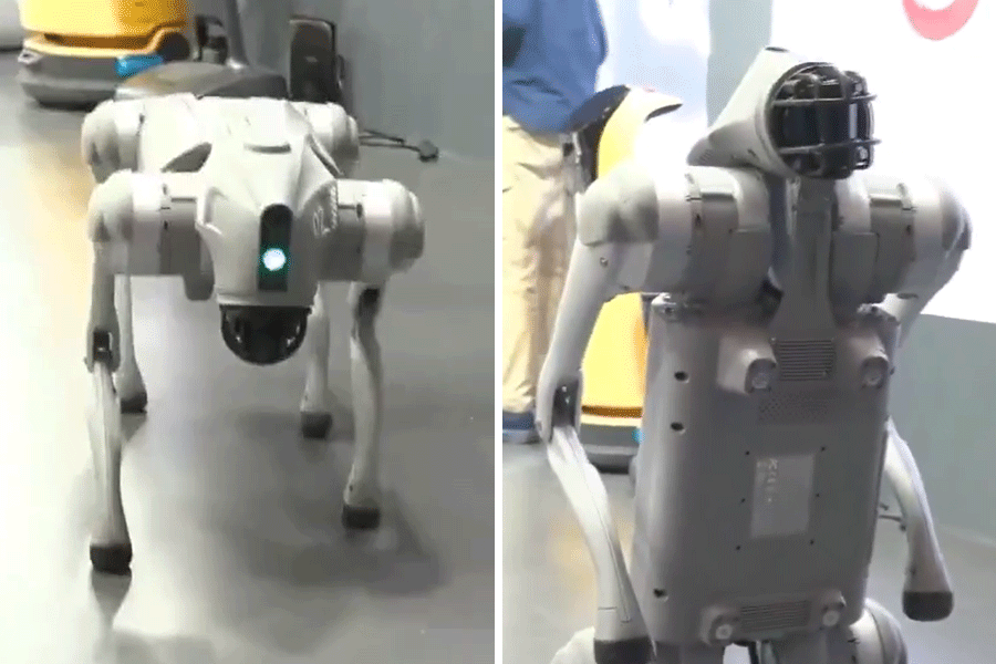 AI Impact Summit in New Delhi