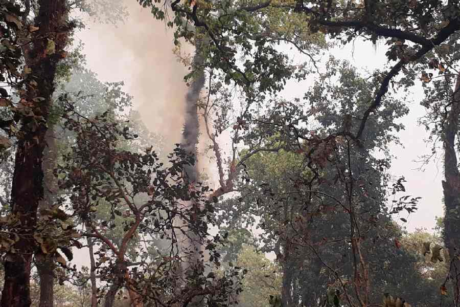 Smoke from a wildfire near the Bengal Safari Park at Salugara, on the outskirts of Siliguri, last year
