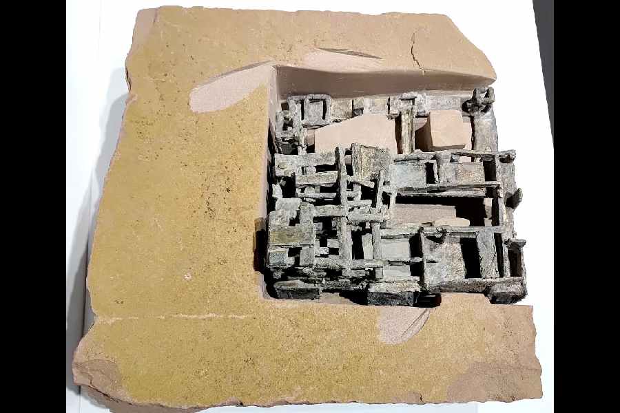 An artwork by Latika Katt