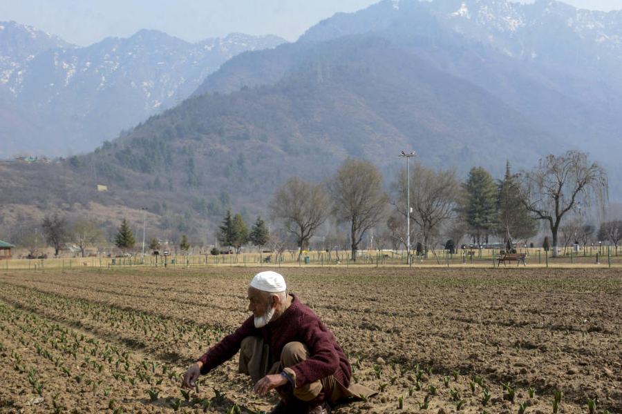 Representational image