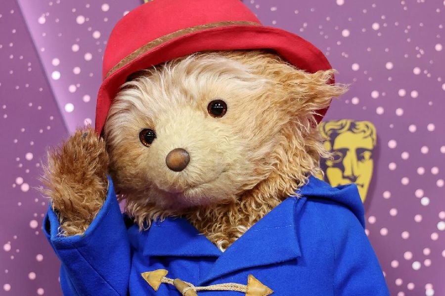 Paddington Bear at Bafta
