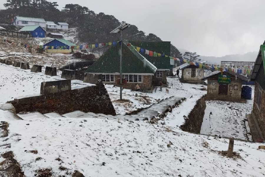 Snow drapes vasts stretches of Sandakphu on Tuesday