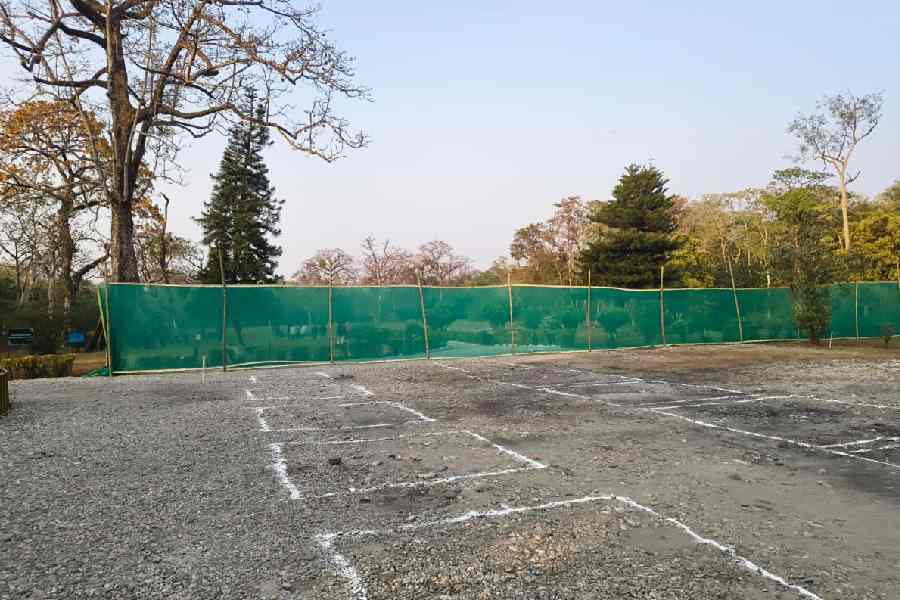 The site where the new forest bungalow will be built at Holong in the Jaldapara National Park, Alipurduar.
