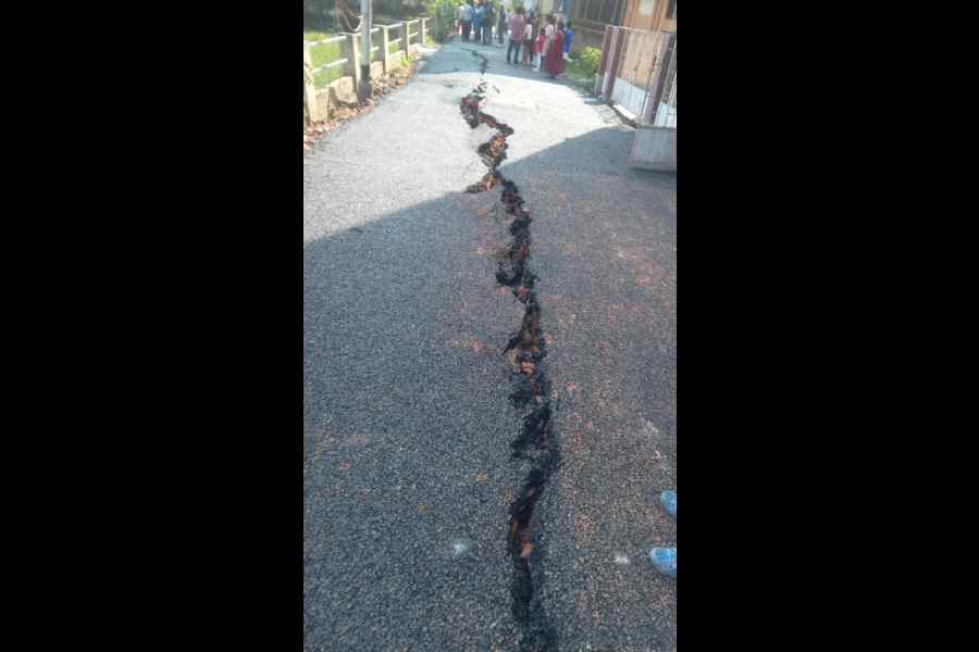 The 40-ft long stretch of a road in Behala's Parnasree that cracked open following the earthquake