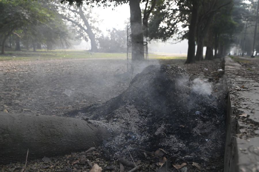 Dry leaves set on fire in the Maidan on Wednesday