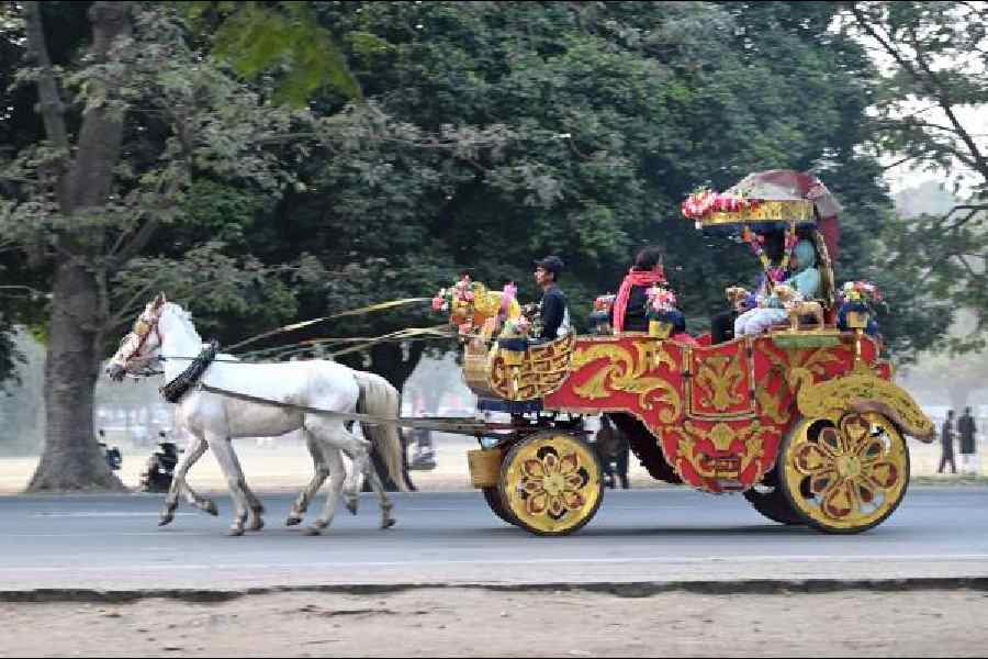 A horse carriage ride in the Maidan area on New Year’s Day. Pictures by Sanat Kr Sinha and Bishwarup Dutta