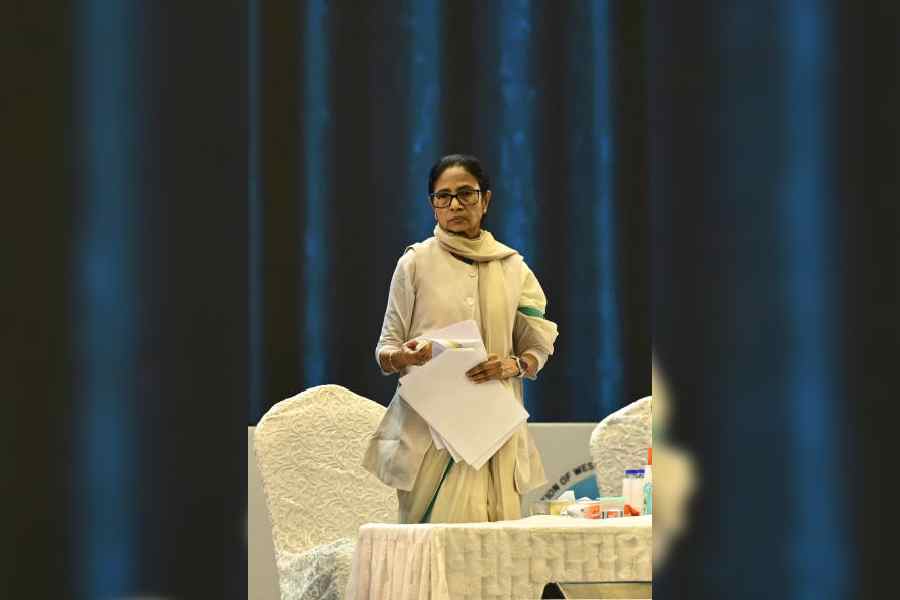 Mamata Banerjee. File picture
