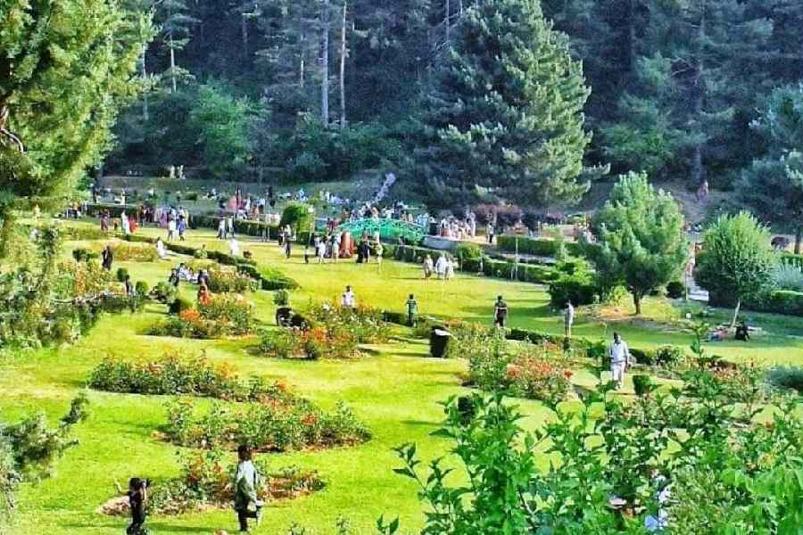 The Kokernag botanical garden. 