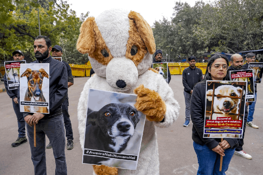 Animal rights activists stage a protest urging the Supreme Court to recall its “impractical and inhumane” order on removing street dogs from public spaces, at Jantar Mantar, in New Delhi, Saturday, Jan. 3, 2026.