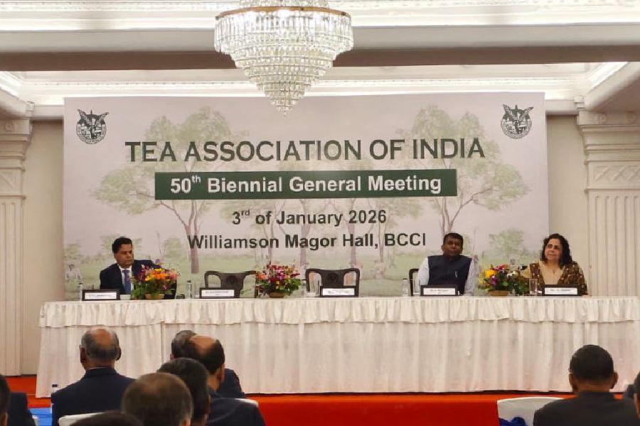 The 50th biennial general meeting of the Tea Asociation of India in progress in Calcutta on Saturday