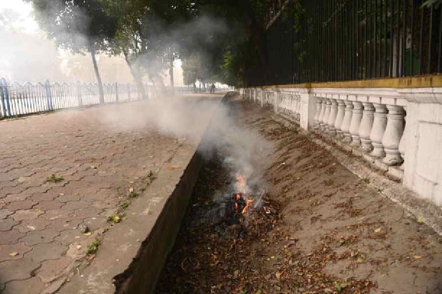 Dry leaves and plastic waste set on fire near Raj Bhavan            and (below) at Curzon Park on Sunday afternoon.            Pictures by Bishwarup Dutta