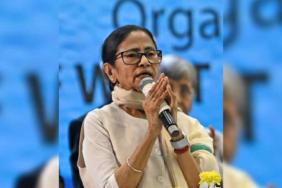 Mamata Banerjee. File picture