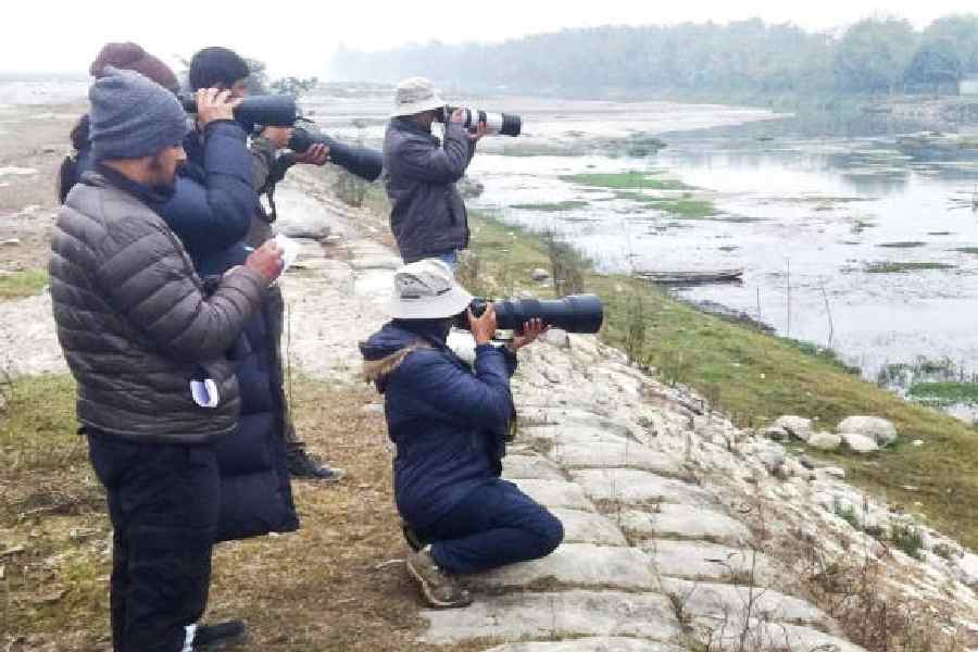 Members of the Himalayan Nature & Adventure Foundation on the first day of the month-long annual waterfowl count at the confluence of the Teesta and Karala rivers near Jalpaiguri on Sunday. Picture courtesy: HNAF