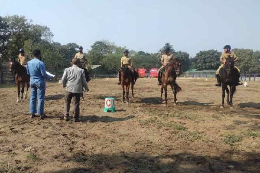 Horses train on the temporary paddock on the Maidan, south of Shahid Minar