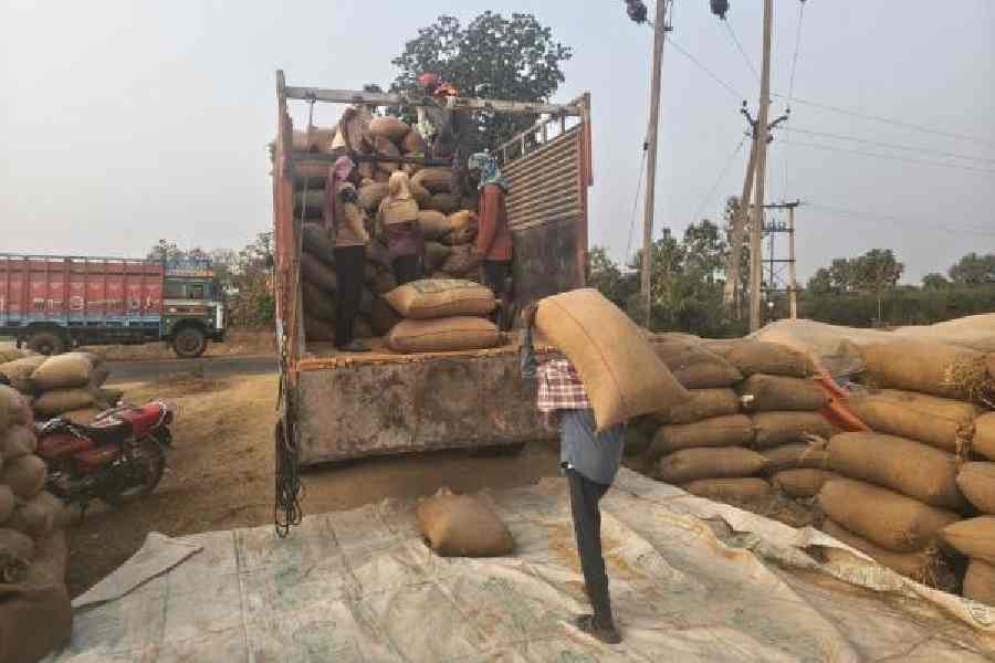 Paddy procurement going on at a primary agricultural credit society in western Odisha during the ongoing Kharif marketing season