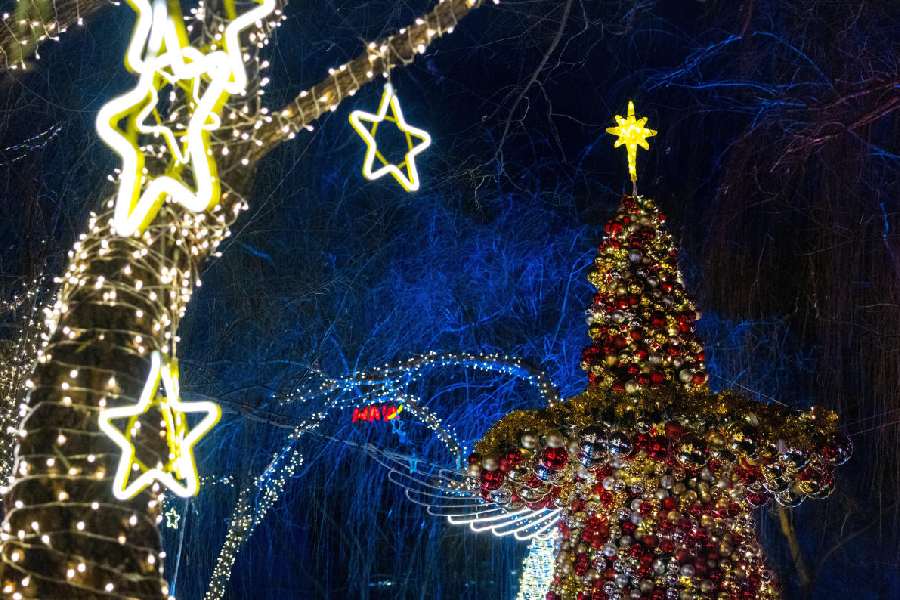 A decorated Christmas tree stands against illuminated trees at a Christmas market in Beijing, China, December 20, 2025.