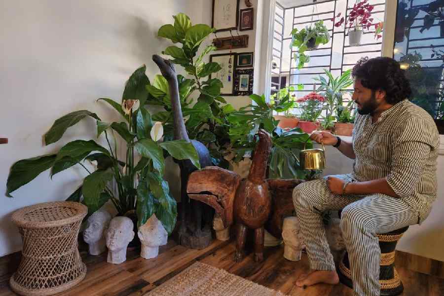 Shivam Roy waters the jungle-themed corner of their house, with dinosaur figurines and tall plants to match.