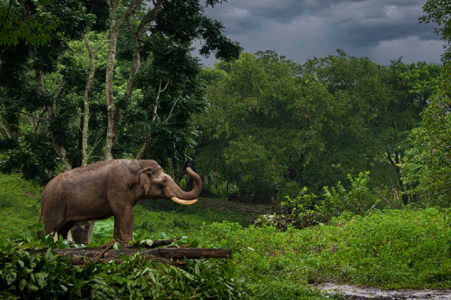 Representational image