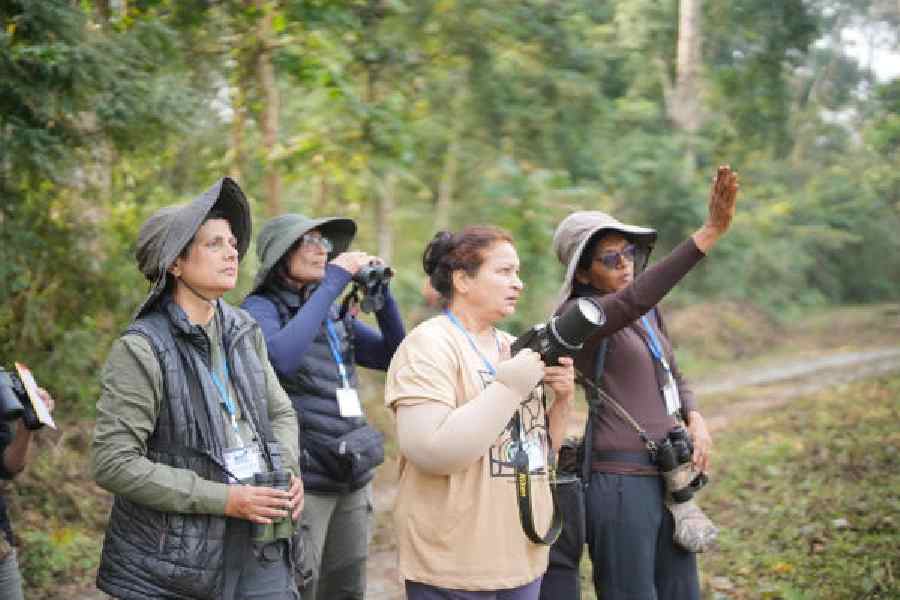 Birdwatchers at the eighth bird festival hosted by the Buxa Tiger Reserve in Alipurduar. Pictures courtesy: Bengal forest department