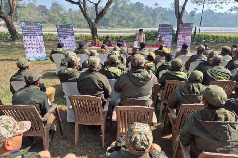 Forest department personnel attend a training camp in the Gorumara National Park in Jalpaiguri on Wednesday for the upcoming tiger census. Picture by Biplab Basak