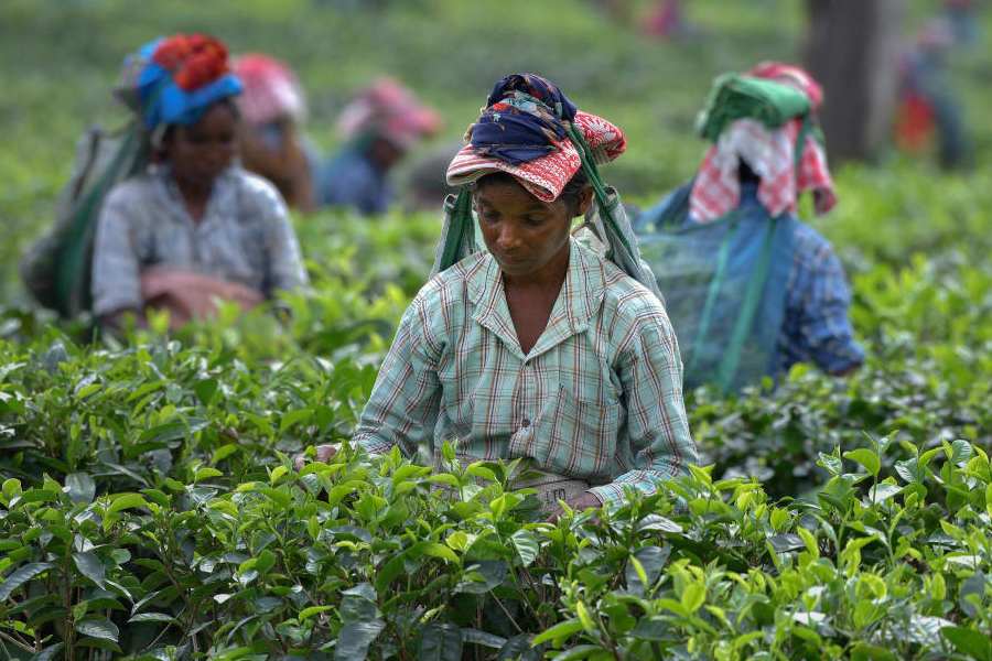 Representational Image