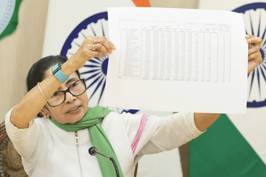 Bengal chief minister Mamata Banerjee.