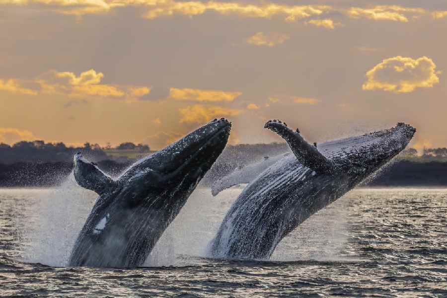 Representational image