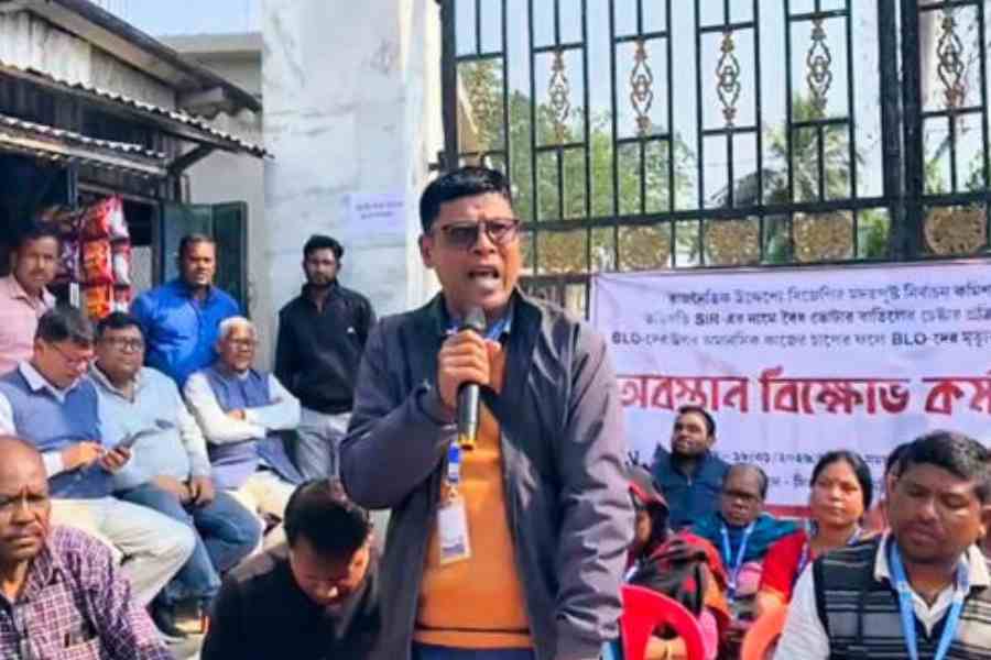 Booth-level officers stage a sit-in protest at the Sitai BDO office, Cooch Behar, on Sunday. Picture by Main Uddin Chisti