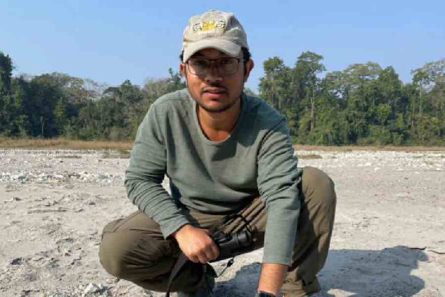 A forester shows the pugmark of big cat at the Buxa Tiger Reserve on Sunday morning. Picture courtesy: State forest department