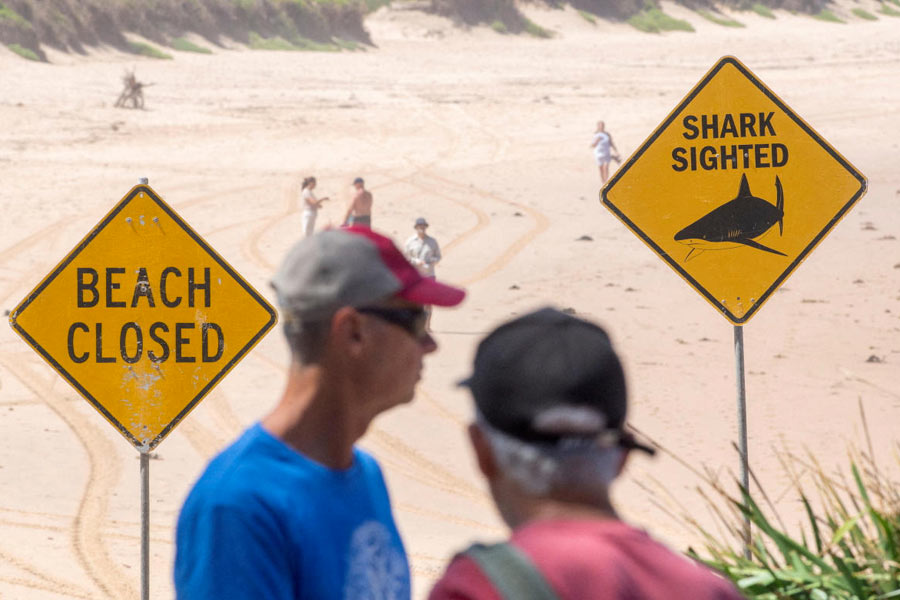 People stand next to warning signs in place, and beaches are closed after a surfer suffered a shark attack today at Dee Why Beach in Sydney, Australia, January 19, 2026.