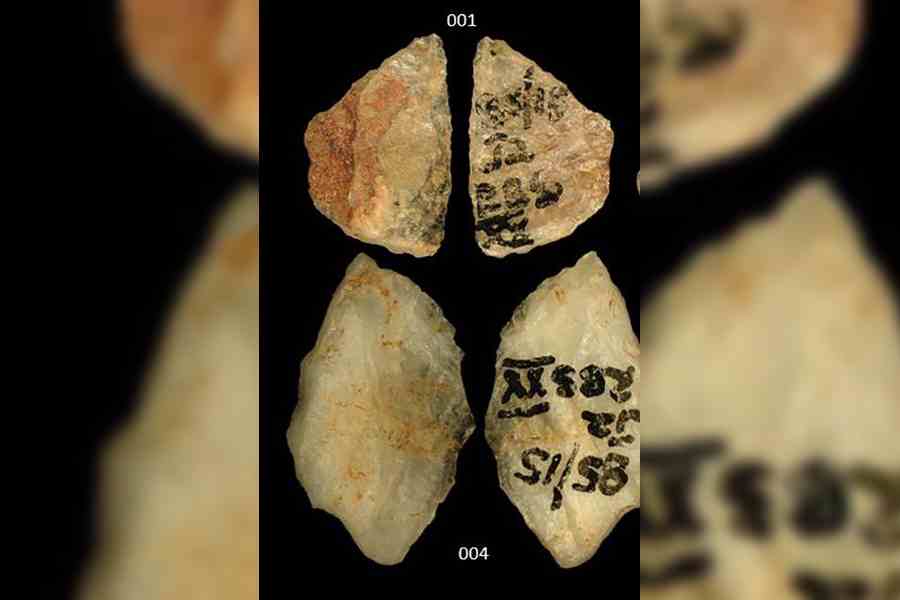 nytns/isaksson et al