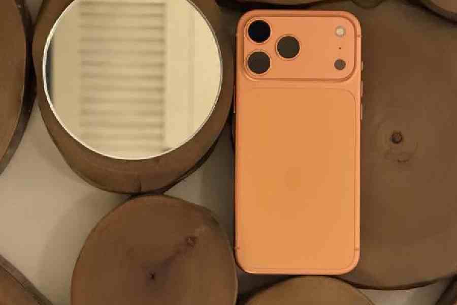 Some of the features on iOS 26 take advantage of the unique hardware of iPhone 17 series.  Pictures: Mathures Paul